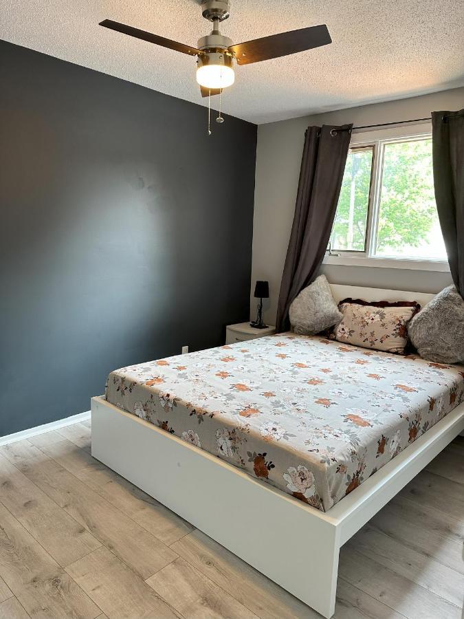 Castlerooms Homestay أوتاوا المظهر الخارجي الصورة